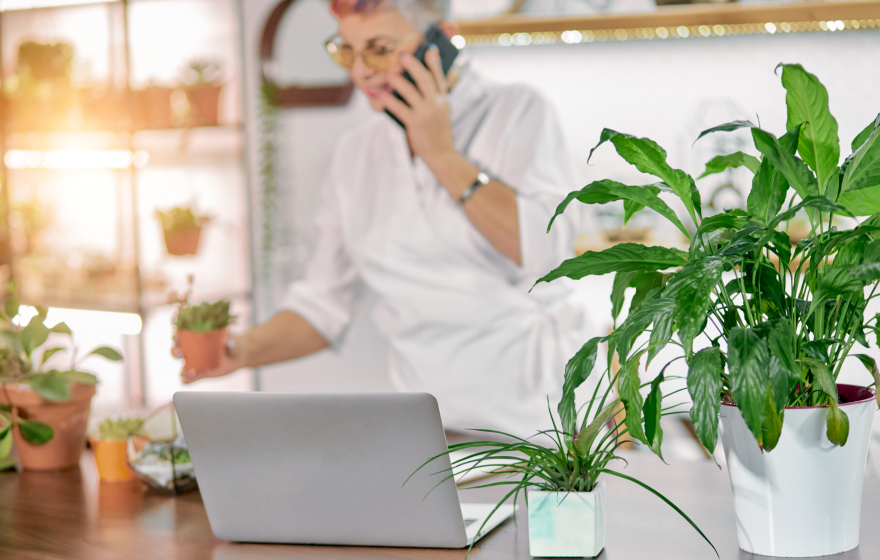 How to choose a tax accountant